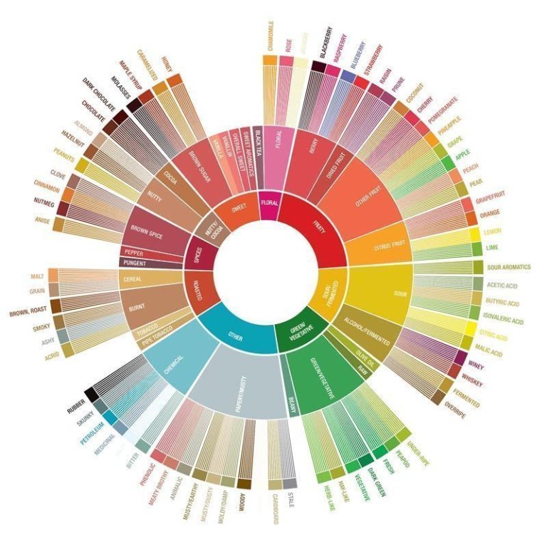 Coffee_Tasters_Flavour_Wheel